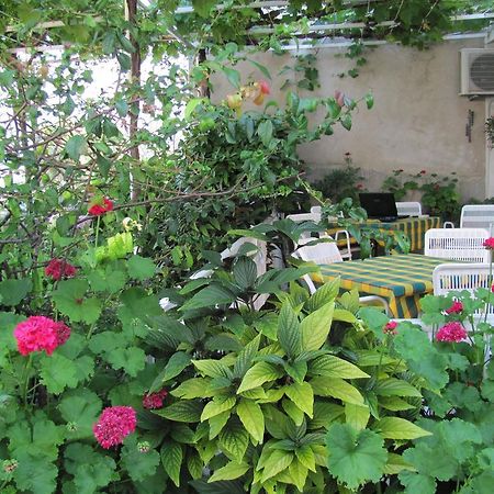 Guesthouse Marija Cavtat Zimmer foto